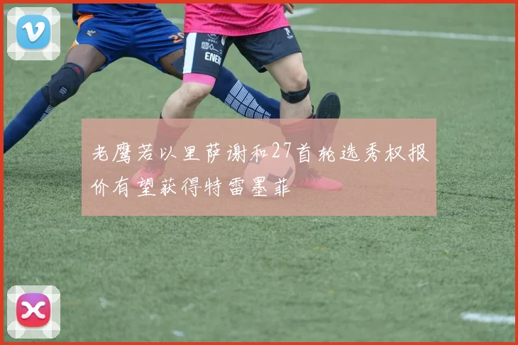 老鹰若以里萨谢和27首轮选秀权报价有望获得特雷墨菲